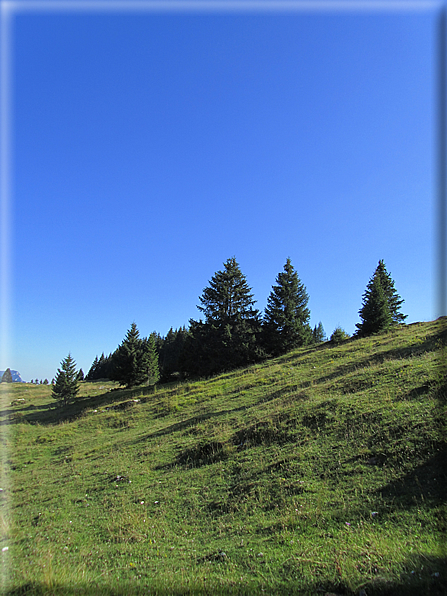 foto Piana del Vezzena